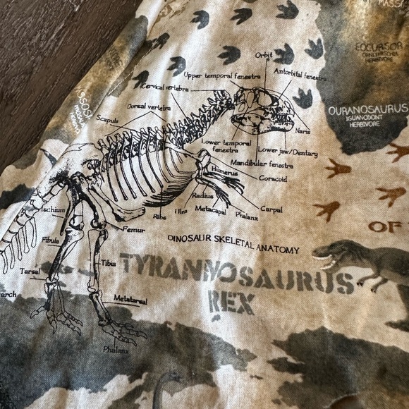 Retrolicious Dinosaur Paleo Map Knee Length Skirt - Picture 4 of 10